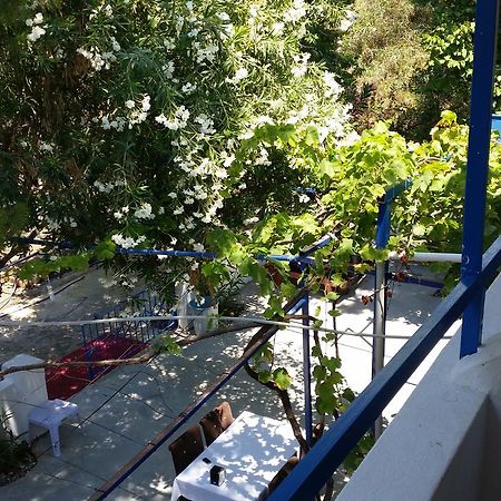 Deniz Yildizi Bed and Breakfast Fethiye Exteriör bild